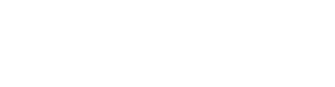 Ms Ambar